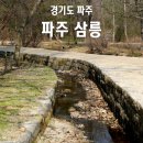 25세 동물병원 | 서울 근교 산책하기 좋은 곳 파주삼릉 4월 초 풍경
