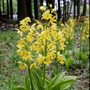 절물생태관리소 (절물자연휴양림) 이미지