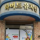 하버드유치원 이미지