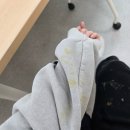 광주광역시 동물보호센터 | 광주유기동물보호센터 봉사 후기 | 유기견 견사 봉사 | 개인봉사자