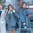 더화이트B Daum카페