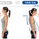 목련로273번길 이미지