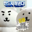 네일케이 이미지