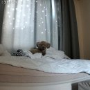 남문로102번길 이미지