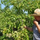 박경철농장 이미지