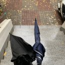 세븐일레븐 개화산점 이미지