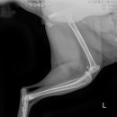 삼척동물병원 이미지