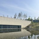 경기수협 평택항사업소 | 경기 화성시 궁평항 발광성 플랑크톤 야광충 (카톡 오픈채팅/ 바다물때링크/주차) / 화성시독립운동기념관