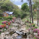 용인자연휴양림 이미지