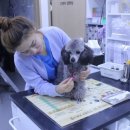 은빛동물병원 이미지