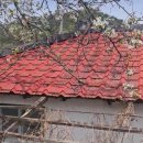 클라스웰정형외과의원 이미지