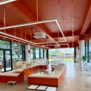 놀멍뛰멍 | 김포 강아지 야외 운동장 실내 운동장이 있는 애견카페 추천 멍더쿠