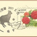 대구우체국 이미지