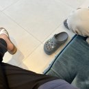 이리스안경원 이미지