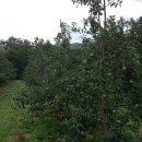 문성농장 이미지