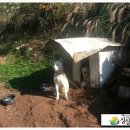 김명주 농장 이미지