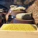 노루목농장 이미지