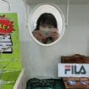 글라시스트 이미지