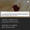 디어마이펫 이미지