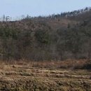 보성공인중개사사무소 이미지