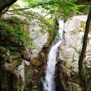 수도산식당 이미지