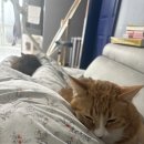 청송경찰서 | 26년 4월 1주