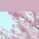 지선미용실 - 은평구 | 지선미용실