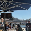 도루물 | [포르투 맛집 추천] 테라노바 Terra Nova 해물요리 도루강 맛집