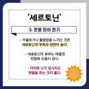 피데스학원 - 고양시 덕양구 충장로 118-23 | 피데스학원