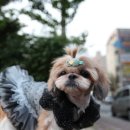 예라 - 남양주시 수레로1번길 3 | 예라