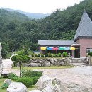 단군성전 Daum카페