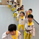 인하코리아 태권도 이미지