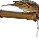 새들피아노 이미지