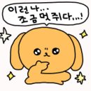 주식회사 버킷플레이스 | [부업: 오늘의집] 큐레이터 수익 지급후기!(계좌로 갑자기 모르는 금액 입금됌)