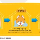 가로수동물병원 이미지