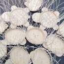 왕궁남초등학교 이미지