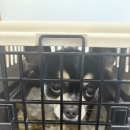 (주)춘천장어마을 | [춘천/애견동반]춘천장어마을 내돈내산 후기!