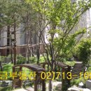 황금로얄부동산공인중개사사무소 이미지