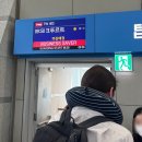 당나귀야채과일도소매 | 독일 셀프 결혼자격증명서 발급받기 (시부모님 만나고 옴!) | 셀프 국제결혼 준비 후기