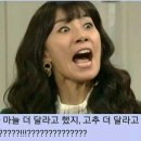 막창드라마 이미지