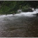 중원-107 이미지