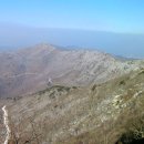 간월상회 이미지