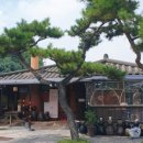 화성센트럴치과의원 네이버블로그