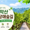 관악산 무장애숲길 | 관악산 정상 대신 무장애숲길, 초보도 편하게 걷는 서울 힐링 코스