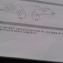 (기초) 오카리나 네이버블로그