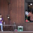 효리네 민박 이미지