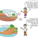 토지형질변경 이미지