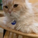 집사의하루 강남점 이미지