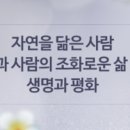 네이버블로그