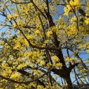 한덕이천 이미지